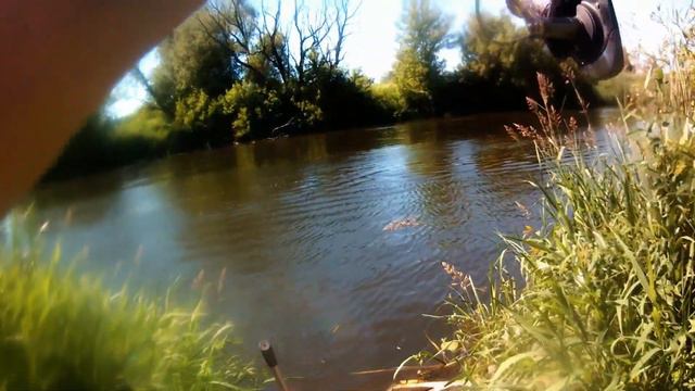 Ловил на фидер 19.06.2021.Фидерная ловля.Рыбалка на фидер смотреть онлайн