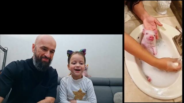 ПОДЕЛКА СВОИМИ РУКАМИ. КАКОЙ ПИТОМЕЦ ЛУЧШИЙ В ДОМЕ. смотреть онлайн