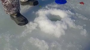 Рк Фишка Берег, лови  форель со льда, форелевая рыбалка, платная рыбалка, платник