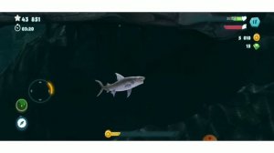 Hungry Shark/Мифический Окунь как найти/Карта стоит ли купить/Тигровая Акула/5 затонувших предметов