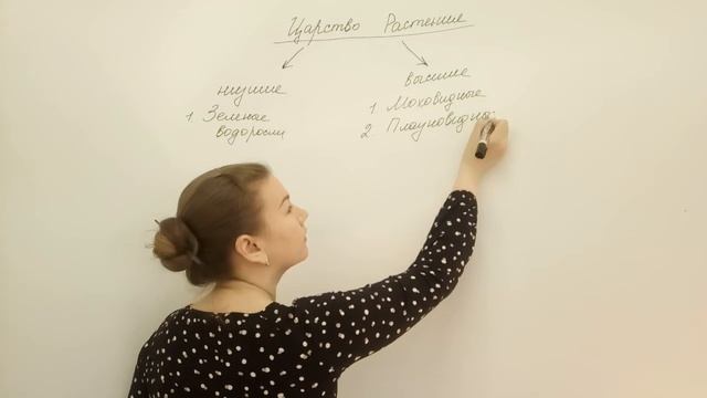 Систематика растений смотреть онлайн