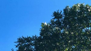 Природа Кубани | Река Уруп | Август 2022