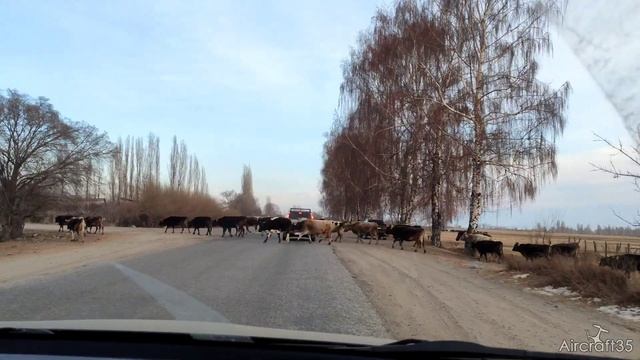 Киргизия зима 2022
