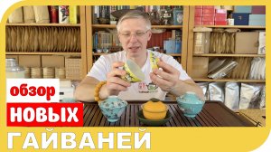 ОБЗОР ЧАЙНЫХ ГАЙВАНЕЙ