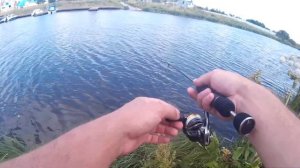 Часовая рыбалка в черте города Дубна на мормышку