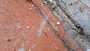 В Новокузнецке клопы ушли под пол, многоквартирный дом.