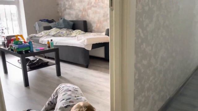 Кошка ходит на лапах ? смотреть онлайн