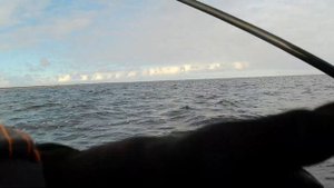 Ладога. Креницы. Осенний окунь на джиг!