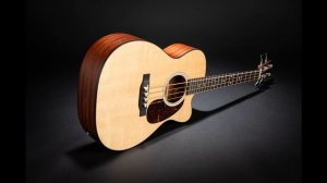Martin Guitar Launches Junior Bass Models and Strings Adds 000CJR – 10E StreetMaster