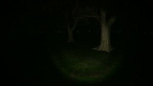 ДОГОНЯЛКИ СО ШРЕКОМ - swamp sim horror game прохождение