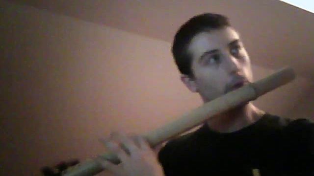 Flauto traverso / Bansuri - 11 gennaio 2014 смотреть онлайн