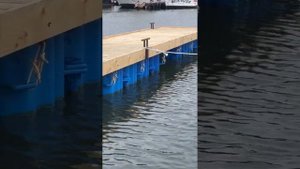 Применение пластиковых понтонов| ПОНТОНЫ В ЯХТ-КЛУБЕ