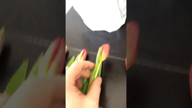 Какие Тюльпаны покупать на 8е марта! Букет Тюльпанов и 5 стадий его раскрытия!