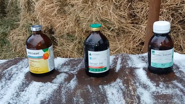 (24) про уколы быкам