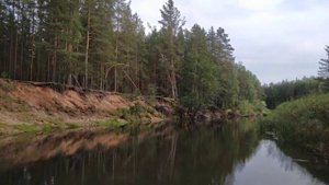 Берега реки Песь