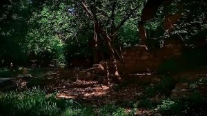 Атмосферный заброшенный дом в Аршинцево