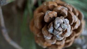 Удмуртские песни 1)