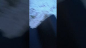 Снегоход бурлак егерь стандарт 18.5