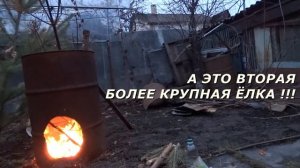 Как горит Ёлка и даже две  !!!