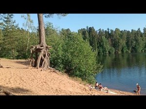 Прополола грядки с огурчиками/ Прокатилась до пляжа "Шудибель".