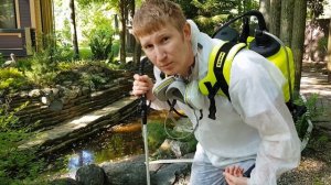 Как спастись летом от комаров. Борьба с комарами на дачном участке. Где комар откладывает личинки