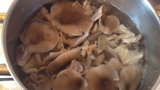 [+ГРИБЫ МАРИНОВАННЫЕ+](РЕЦЕПТЫ ОТ АНАТОЛИЯ) БЛЮДО В ПОСТ смотреть онлайн