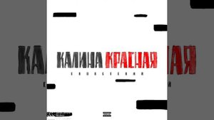 Словетский - Калина красная