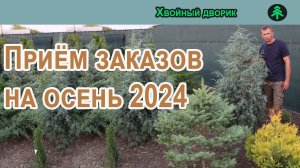 Прием предварительных  заказов на осень 2024 года! Интернет-магазин Питомника "Хвойный Дворик"