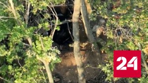 Украинцы решили сдаться в плен после первой же гранаты - Россия 24