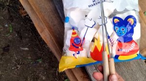 Жарим маршмелоу на костре