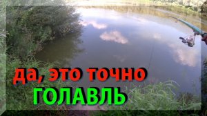 Поклевка Голавля - резкая и мощная, что на спиннинг, что на удочку. Не перепутаешь ни с какой другой