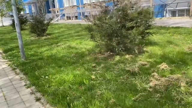 Тедди НЕ МОЖЕТ ПРОЙТИ МИМО! ПОЧЕМУ В АНАПЕ МНОГО ПУСТЫХ СТАРЫХ ДОМОВ! смотреть онлайн