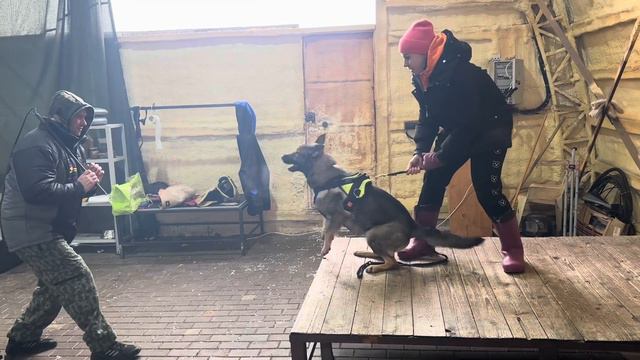 Экселигмос Ярила смотреть онлайн