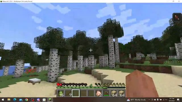 Hayden's Public Java Minecraft Server Stream One server address is in the platoneom central discord смотреть онлайн