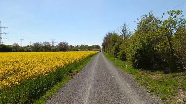 ВСЕМ ЖЕЛАЮ ОТЛИЧНОГО НАСТРОЕНИЯ!!! ХРАНИ ВАС ГОСПОДЬ. смотреть онлайн