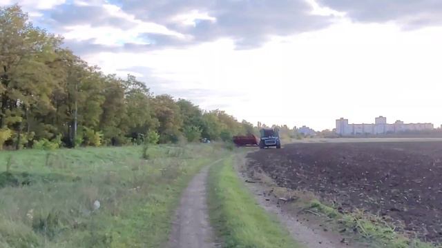 Косимо? Ага. Великий облом.. смотреть онлайн