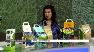 Как выбрать траву для газона?