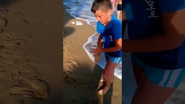 Мальчик 10 лет, отжимания за 120 секунд, 89 раз смотреть онлайн