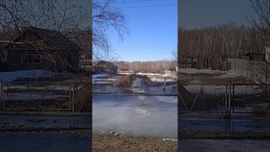 Подсосново Немецкий национальный район🌾И это Россия🇷🇺 Алтайский край🌾😍