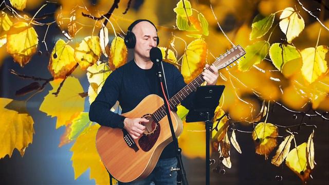 'РАЗМЫШЛЕНИЕ'_А.Я.Розенбаум / кавер по мотивам песни "Размышление на прогулке"