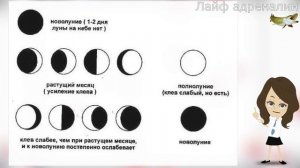 Именно при такой луне начинается настоящий щучий жор! Как луна влияет на клев щуки?