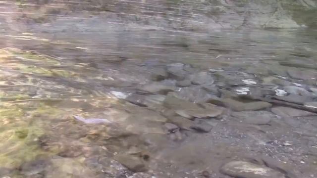 27_06_2017_На велосипеде вдоль реки Сочи до водопадов на р.АЖЕК.mp4 смотреть онлайн