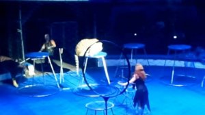 Планета 13 !!! Тигры прыгают через огненные обручи! СУПЕР !!!