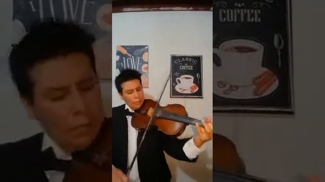 Kjarkas llorando se fue lambada - venta violin antiguo - arco de fibra de carbono Importaciones Lun смотреть онлайн