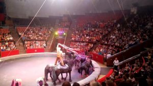 100 лет Советско Российскому цирку 13