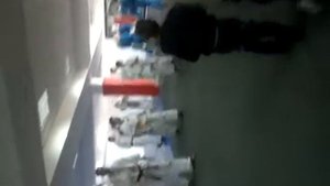 Шаолинь Винчун 5 зверей Южный кулак Длинный кулак Ушу