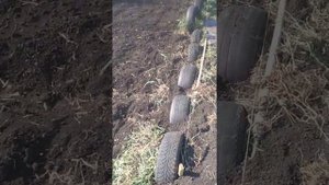 бордюр в саду из покрышек