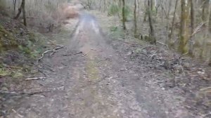 Лесное бездорожье на MTB велосипеде