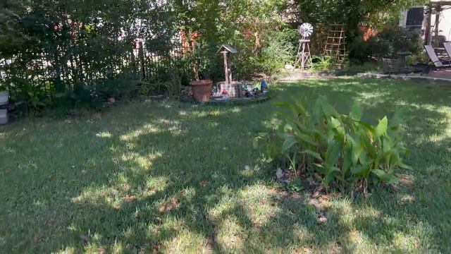 Задний двор превратился в джунгли. Горы мусора. Разбираем хлам. смотреть онлайн