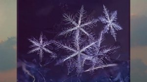 Что такое снег?/Откуда он берётся?